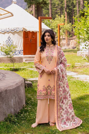 Zarish Collection